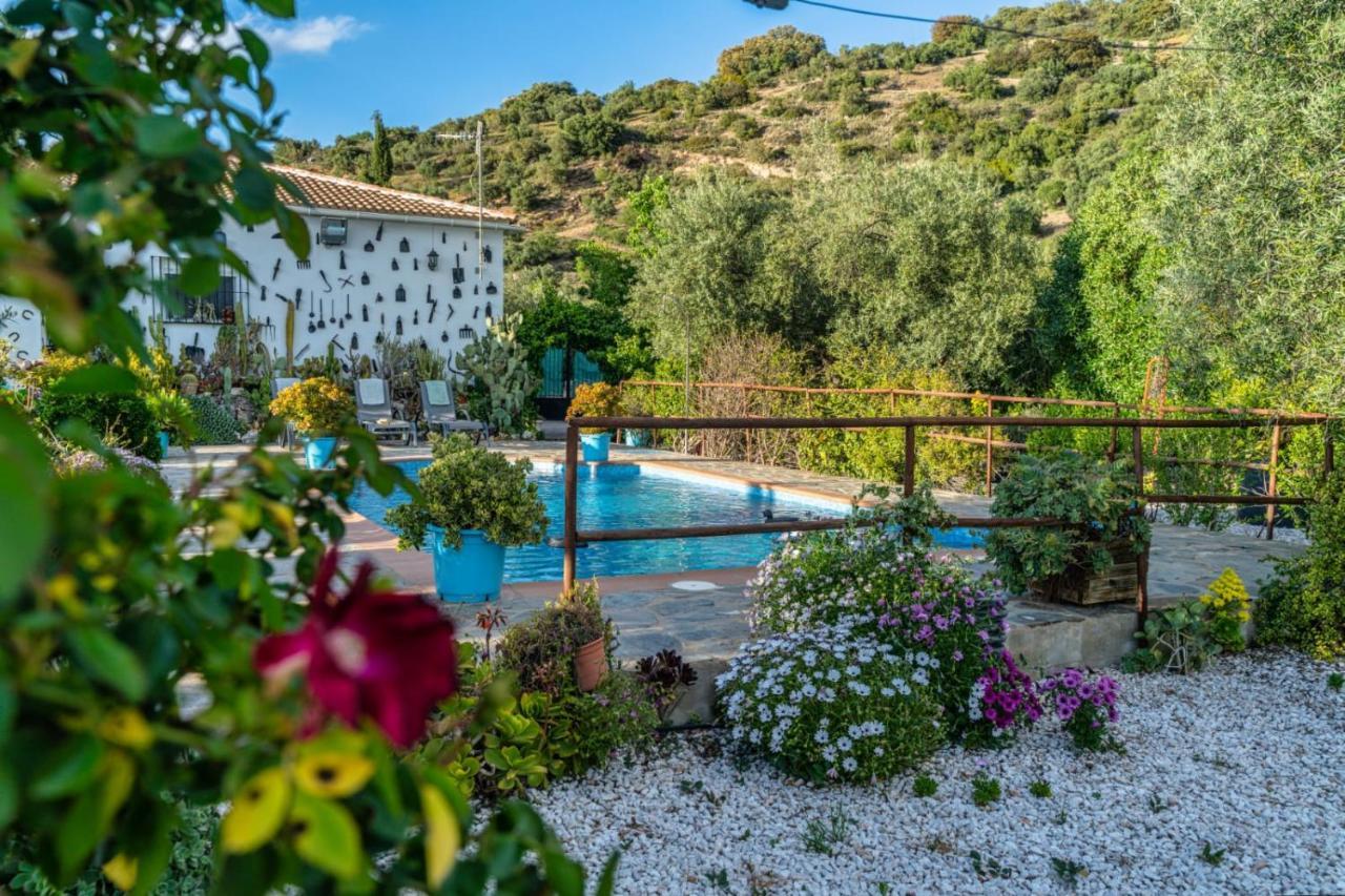 Los Cactus El Gastor Εξωτερικό φωτογραφία