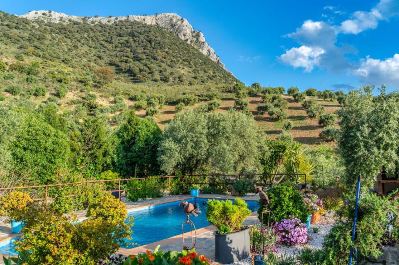 Los Cactus El Gastor Εξωτερικό φωτογραφία